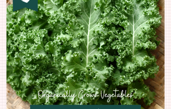 Kale Curly Organik | 150 gr