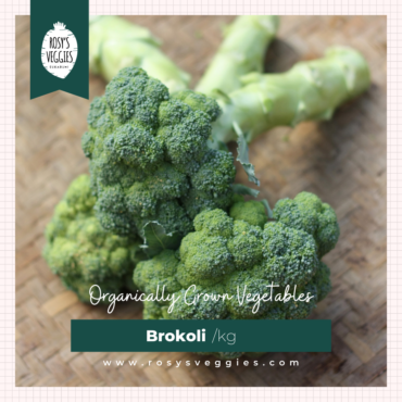Brokoli Organik