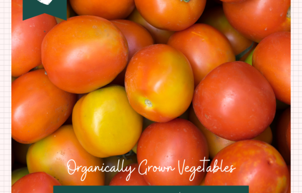 Tomat Merah Lokal | 500 gr