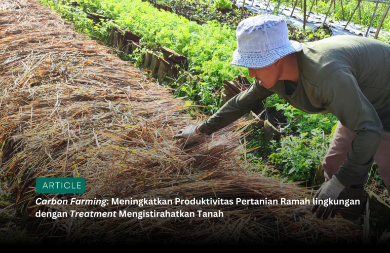 Carbon Farming: Meningkatkan Produktivitas Pertanian Ramah lingkungan dengan Treatment Mengistirahatkan Tanah